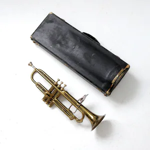 Category